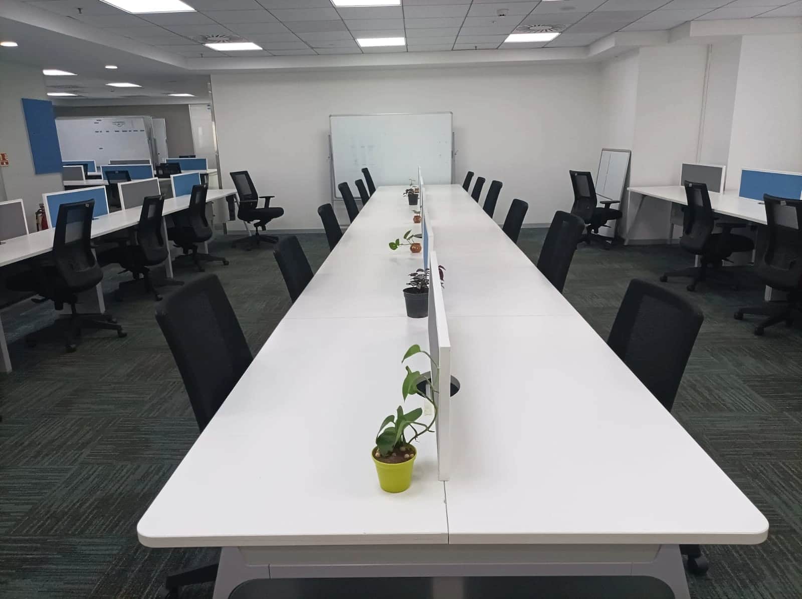 Discussion room with large conference table, ergonomic chairs, and modern lighting